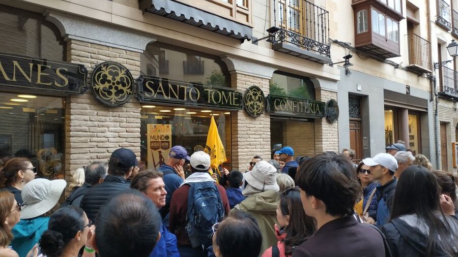 From Madrid: Guided Day Trip to Segovia and Toledo - Guides, language, and the feel of the group