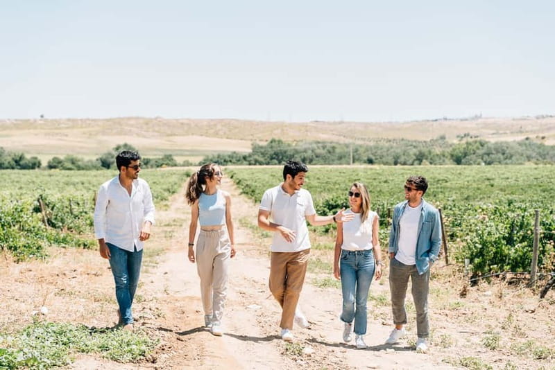From Madrid: Toledo City Tour and Wine Tasting Experience - Is $100 a fair price?
