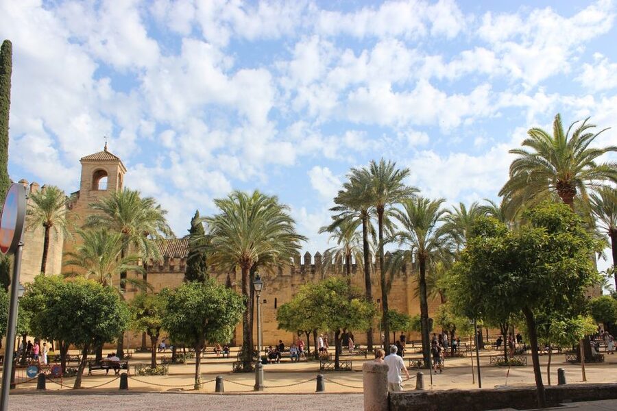 From Malaga and Costa Del Sol: Cordoba Day Trip - The Mosque-Cathedral and the Patio de los Naranjos