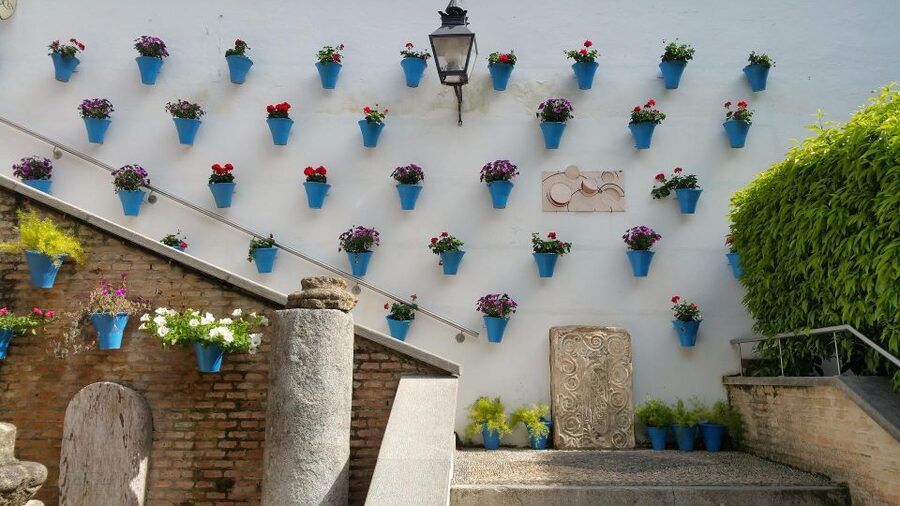 From Malaga and Costa Del Sol: Cordoba Day Trip - Alcázar, Roman Bridge, and the Guadalquivir