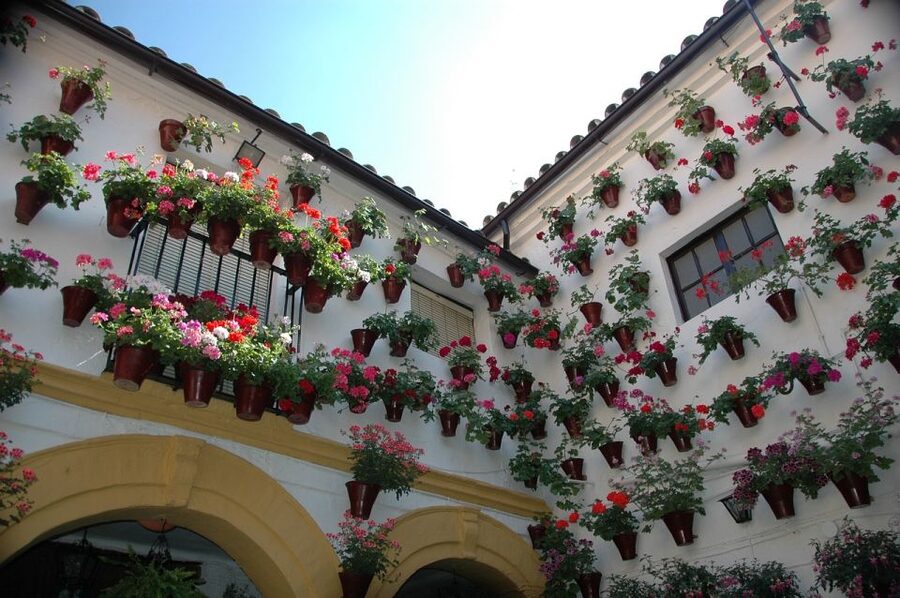 From Malaga and Costa Del Sol: Cordoba Day Trip - What to eat during your free time