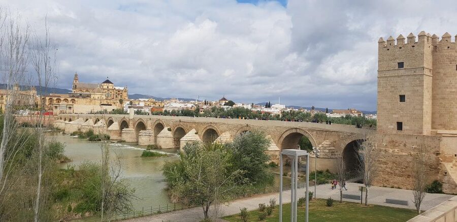 From Malaga and Costa Del Sol: Cordoba Day Trip - Pickup points from Torremolinos and the Costa del Sol