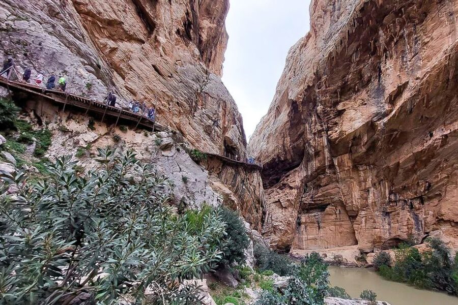 From Málaga: Caminito del Rey Guided Day Trip - Key points to know before booking