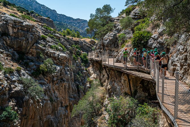 From Malaga Caminito del Rey Guided Tour with transportation - How the price works out at $74.98