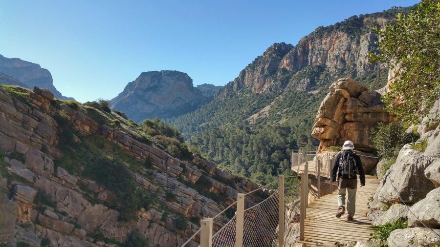 From Málaga: Caminito del Rey Small-Group Tour with Picnic - The views, bridges, and exposure