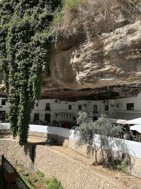 From Malaga: Ronda and Setenil de las Bodegas Day Trip - The road into Andalusia’s hill country