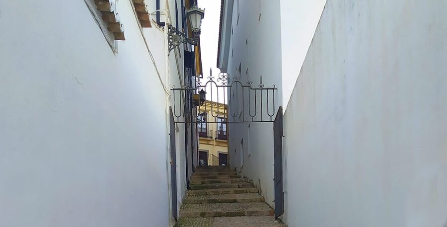 From Malaga: Ronda and Setenil Tour with Scenic Train - What the guides add to the day