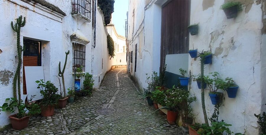 From Malaga: Ronda and Setenil Tour with Scenic Train - Who should book this day trip?
