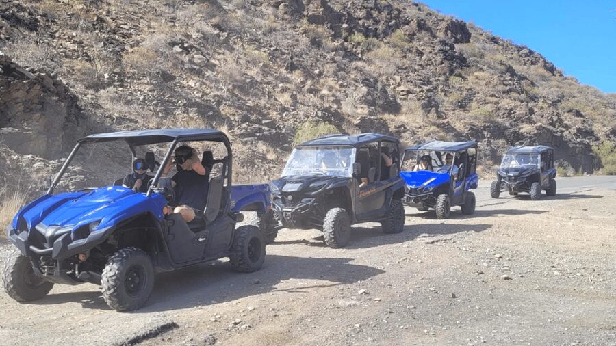 From Maspalomas: Volcanic Landscapes 4-Seater Buggy Tour - Photo stops, breaks, and the value of a guide