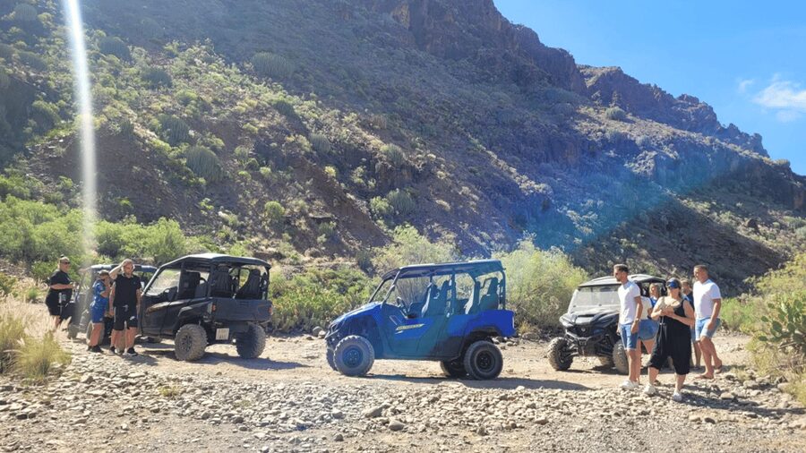From Maspalomas: Volcanic Landscapes 4-Seater Buggy Tour - Timing, group pace, and the transport detail