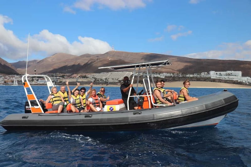 From Morro Jable: Dolphin and Whale Watching and Snorkelling - Thirty minutes in the water