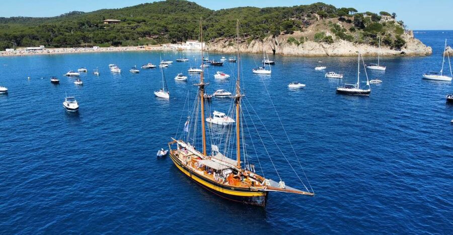 From Palamos: Scenic Boat Trip to Calella de Palafrugell - Key points to know before sailing