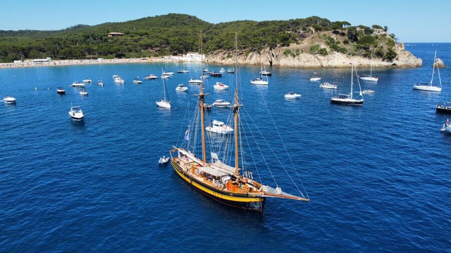 From Palamos: Scenic Boat Trip to Calella de Palafrugell - La Fosca and Platja del Castell: the first coastal views