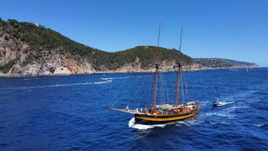 From Palamos: Scenic Boat Trip to Calella de Palafrugell - Who will enjoy this Costa Brava boat trip