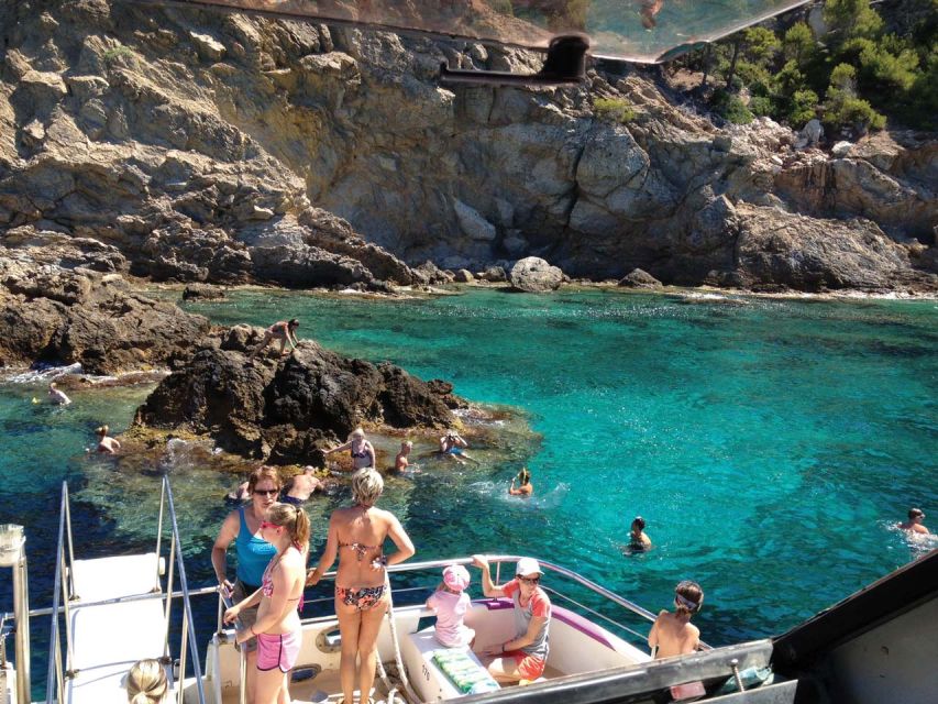 From Palma: 3-Hour Morning Dolphin Watching Boat Tour - Key points to know before booking