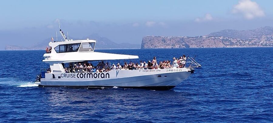 From Palma: 3-Hour Morning Dolphin Watching Boat Tour - The cove swim and snorkel stop