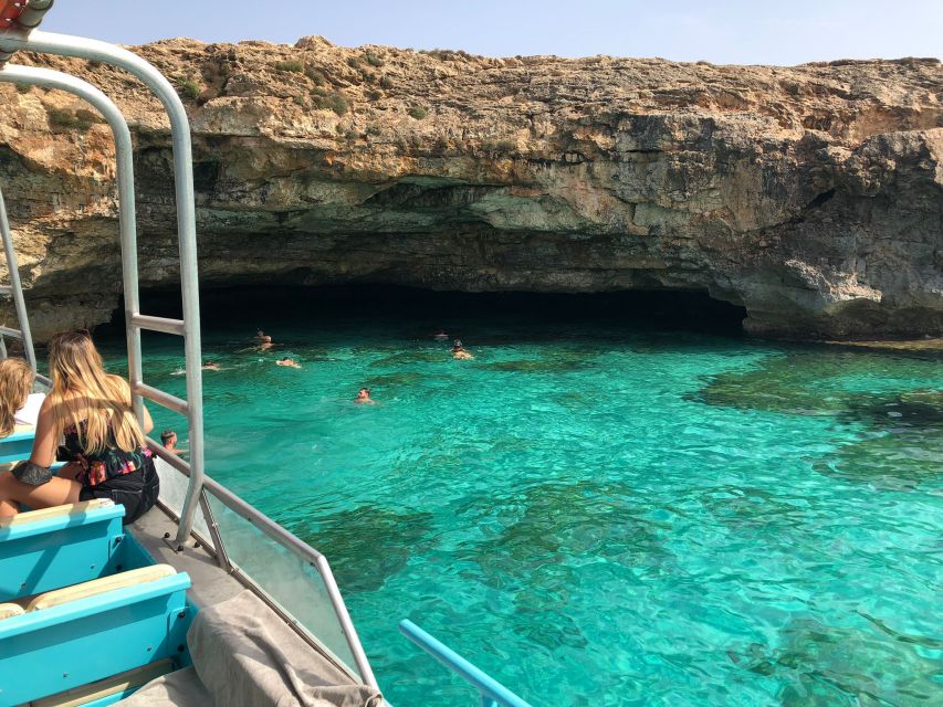From Palma: 3-Hour Morning Dolphin Watching Boat Tour - Who will enjoy this Palma dolphin tour?