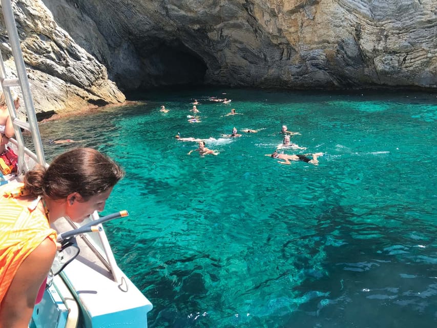 From Palma: Afternoon Dolphin-Watching Boat Tour - What this Palma dolphin cruise is really like
