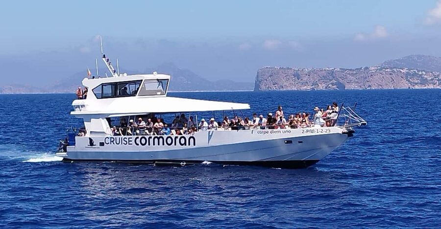 From Palma: Afternoon Dolphin-Watching Boat Tour - Searching for dolphins beyond the coast
