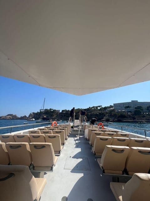 From Palma: Afternoon Dolphin-Watching Boat Tour - Cooling off in the secluded cove