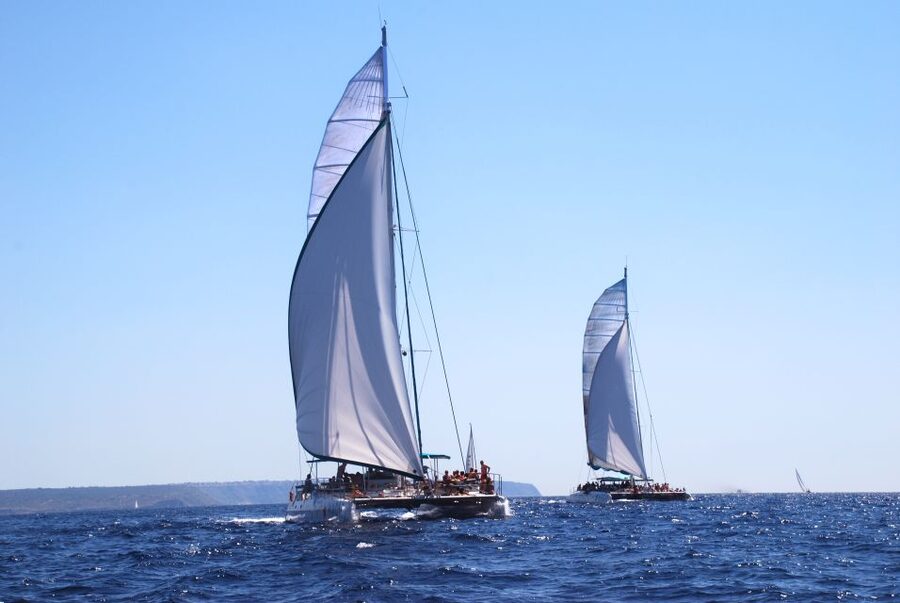 From Palma de Mallorca: Boat Cruise to Illetes - Key Points Before You Book