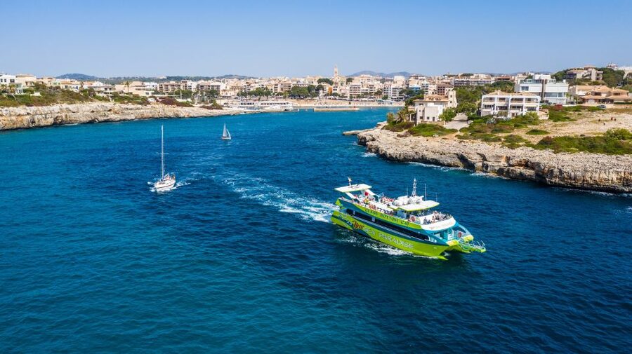 From Porto Cristo: East Coast Glass-Bottom Boat Trip - What the east coast looks like from the boat