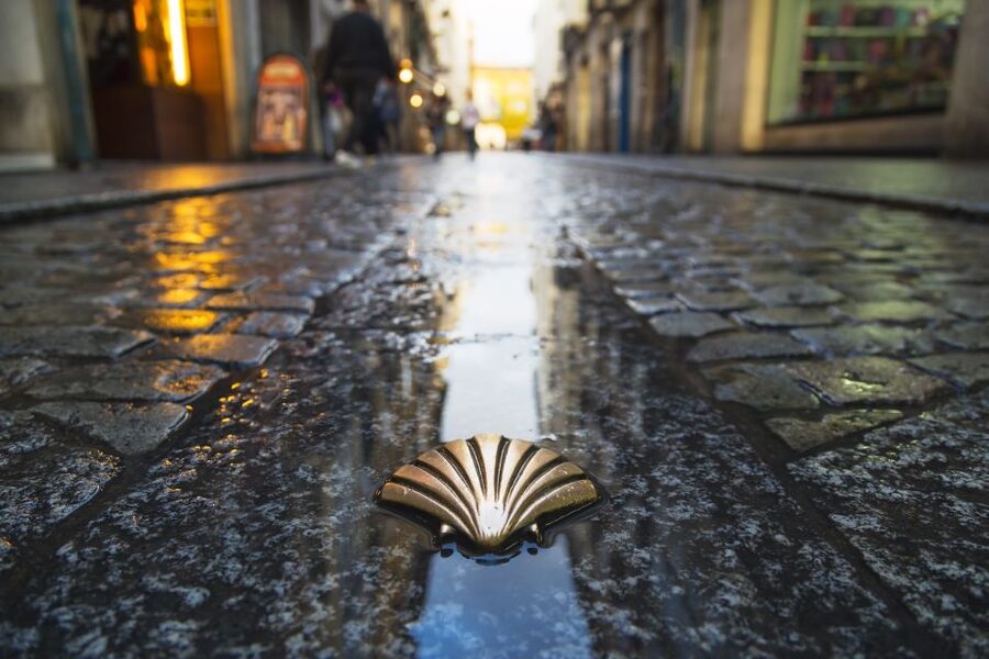 From Porto: Santiago de Compostela Full Day Tour - Santiago de Compostela and the pull of the Camino