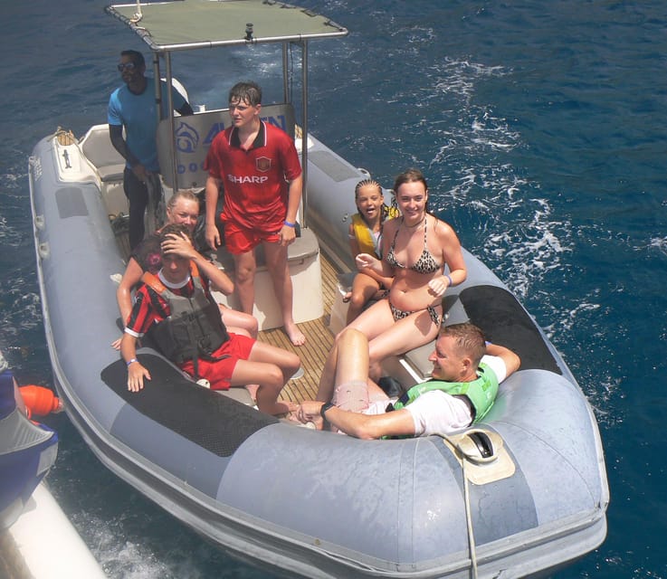 From Puerto Rico: Boat trip along the coast w/ Food & Drinks - The route toward Mogán and the wildlife watch