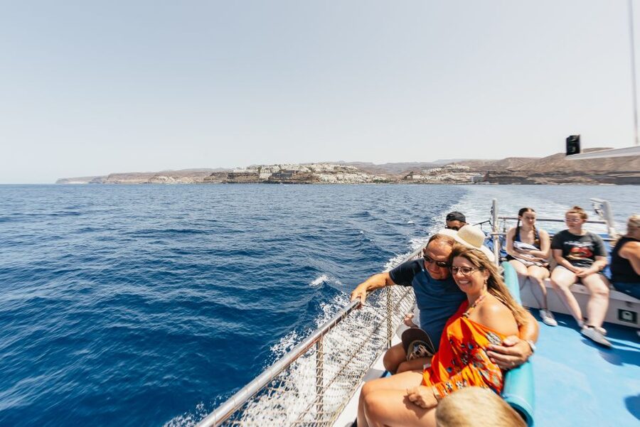 From Puerto Rico de Gran Canaria: Dolphin Watching Cruise - Final verdict: book it for the wild encounter