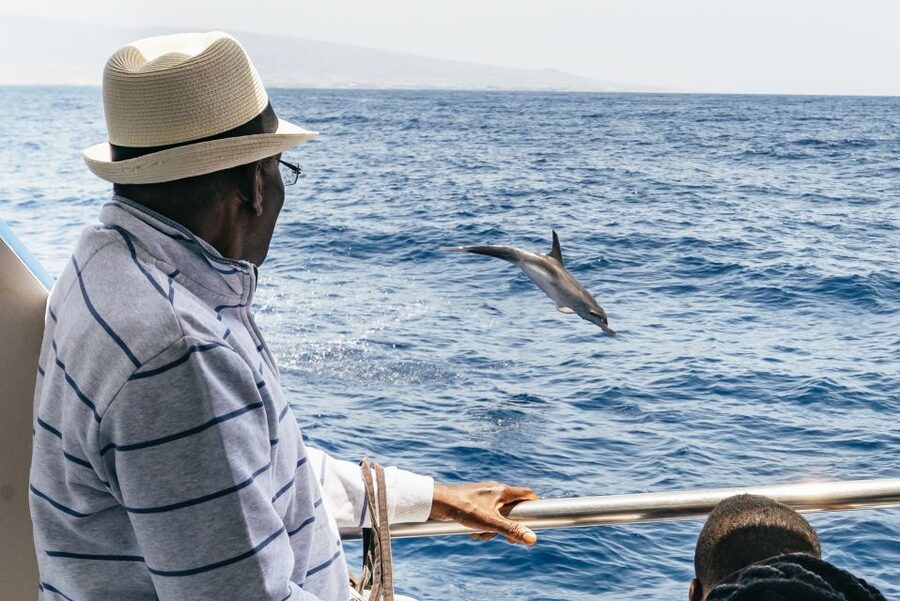From Puerto Rico de Gran Canaria: Dolphin Watching Cruise - The crew makes a big difference