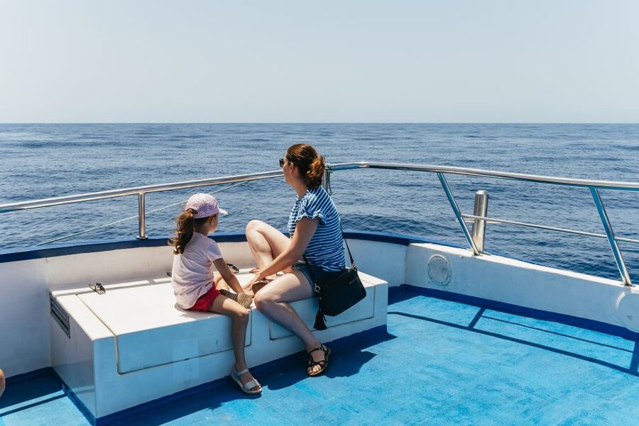 From Puerto Rico de Gran Canaria: Dolphin Watching Cruise - Is $47 good value?