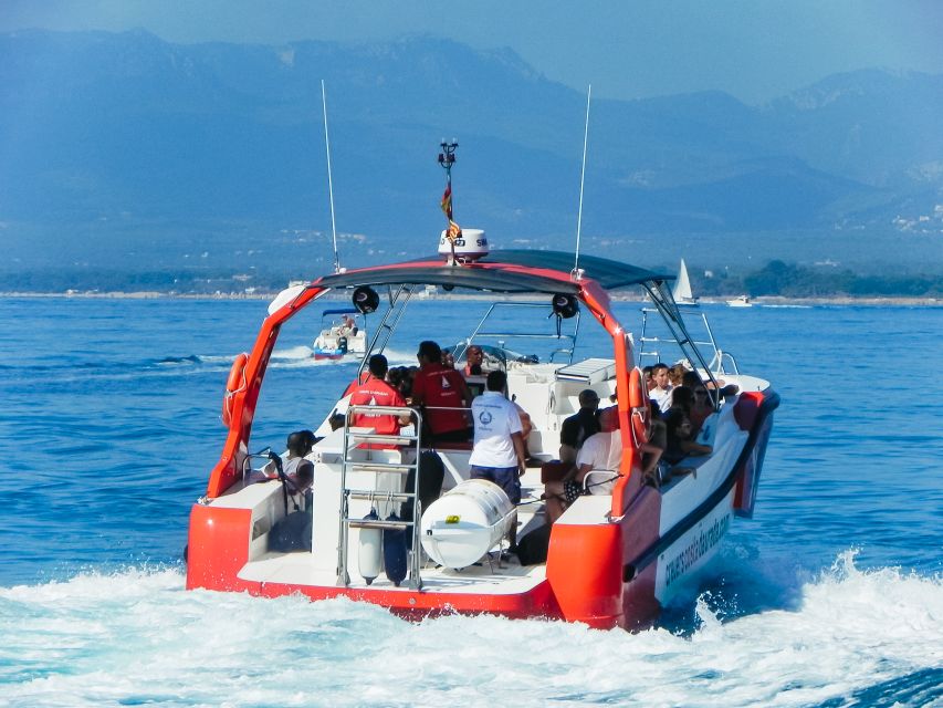 From Salou/Cambrils: Speedboat Tour - Leaving Salou or Cambrils for the open water