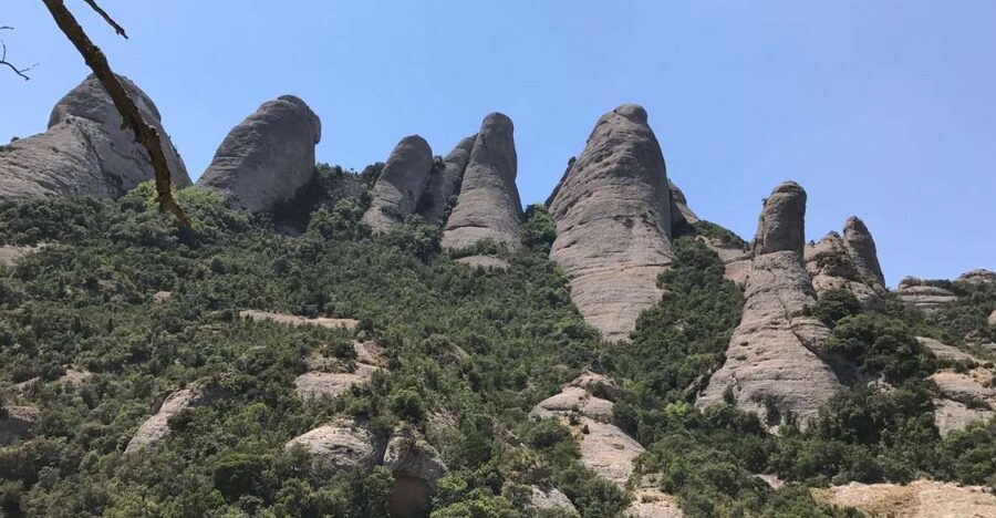 From Salou: Montserrat Monastery and Colonia Güell - The basilica and the Black Madonna