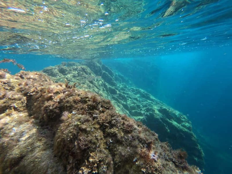 From Sant Feliu de Guíxols: Kayak and Snorkel in Costa Brava - What the $34 price really includes