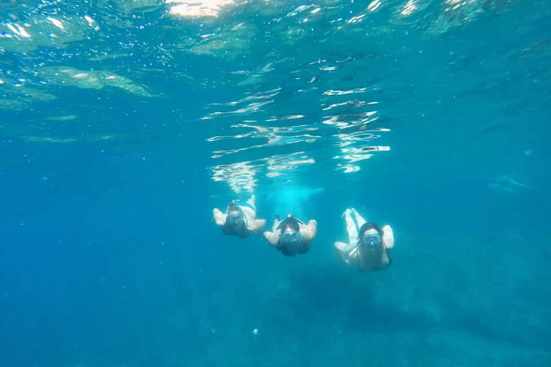 From Sant Feliu de Guíxols: Kayak and Snorkel in Costa Brava - Should you book the Sant Feliu kayak and snorkel tour?