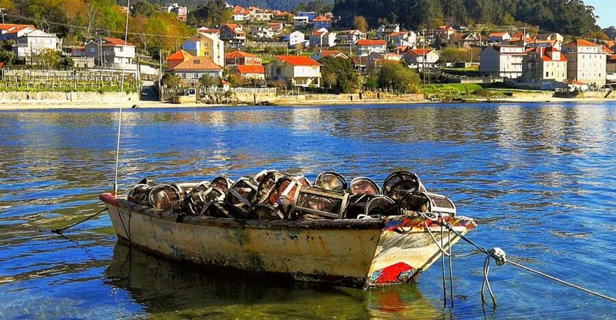 From Santiago: Rías Baixas Galicia Seafood & Wine Day Tour - Coastal towns on the road to Combarro