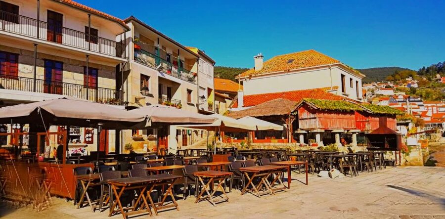From Santiago: Rías Baixas Galicia Seafood & Wine Day Tour - The winery visit and the taste of Albariño