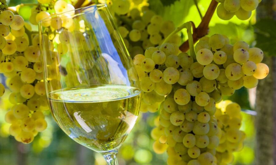 From Santiago: Tour to Rias Baixas with Boat Trip and Winery - Two hours in O Grove for seafood and sea air