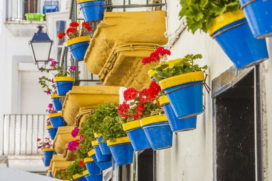 From Seville: Cadiz and Jerez de la Frontera Day Trip - What the coach ride adds, and what it costs