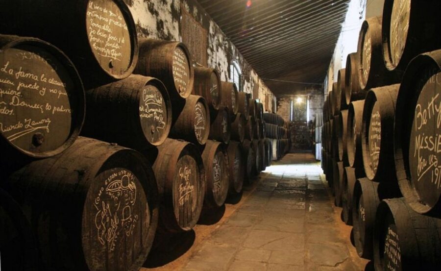 From Seville: Cadiz and Jerez de la Frontera Day Trip - Guides, languages, and group style