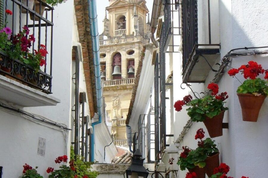 From Seville: Córdoba and Mosque Cathedral Full-Day Tour - Entering the Mosque-Cathedral of Córdoba