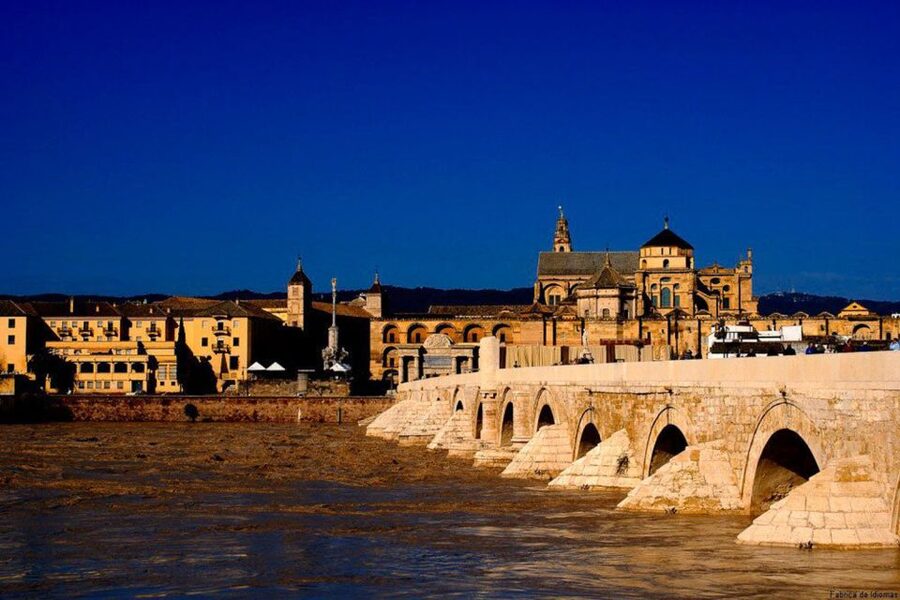 From Seville: Cordoba Full-Day Tour with Tickets Included - Who should book this Córdoba day trip?