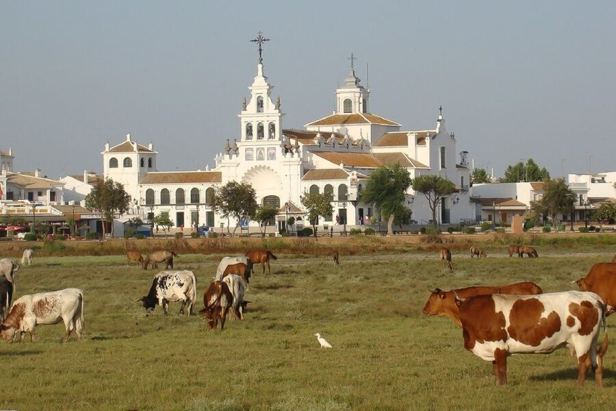 From Seville: Doñana National Park Day Trip - The return through Asperillo at sunset