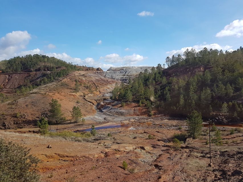 From Seville: Full-Day Aracena & Rio Tinto Mines Tour - Who should book this day trip?