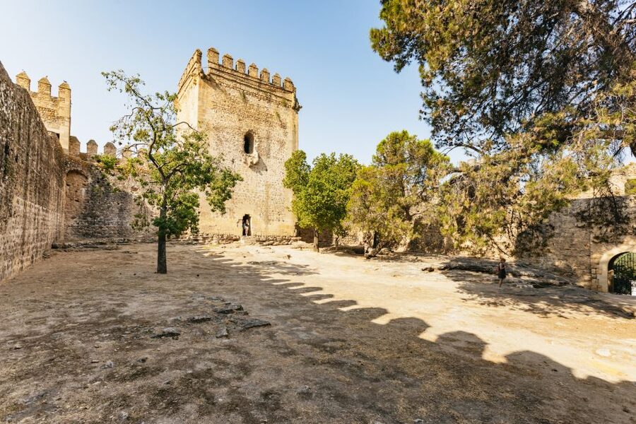 From Seville: Pueblos Blancos and Ronda Full-Day Trip - Is $52 Good Value?