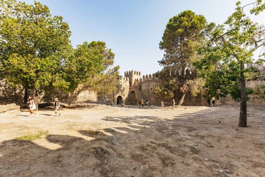 From Seville: Pueblos Blancos and Ronda Full-Day Trip - Molino El Vínculo and the Olive Oil Lesson