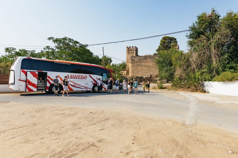 From Seville: Pueblos Blancos and Ronda Full-Day Trip - Grazalema: Lunch Among White Houses