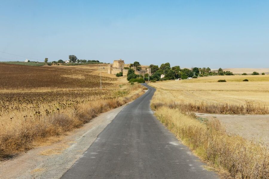 From Seville: Pueblos Blancos and Ronda Full-Day Trip - The Ride Back to Seville