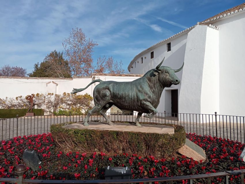 From Seville: Ronda+Setenil de las Bodegas Day Trip - Key points before you book