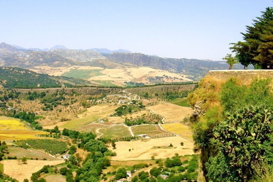 From Seville: White Villages and Ronda Tour - Is $706 good value?